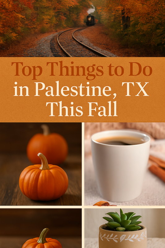 what to do in palestine texas, things to do in palestine texas