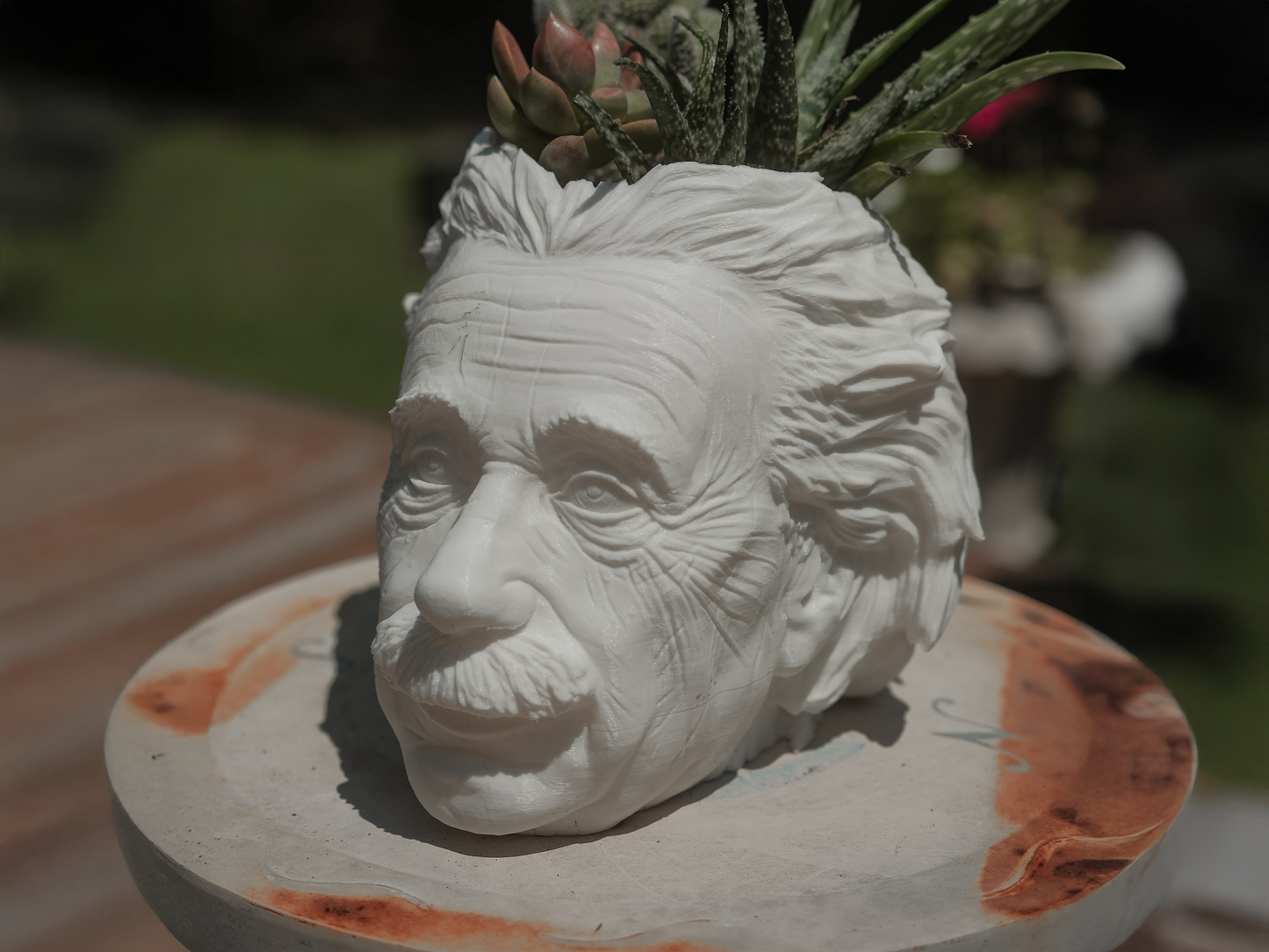 Albert Einstein Planter β 3D Printed Bust with Succulents β Modern Desk Decor