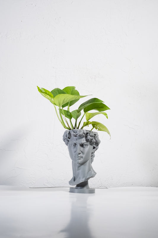 Bust of David Planter – 3D Printed Michelangelo-Inspired Statue Pot for Indoor Plants