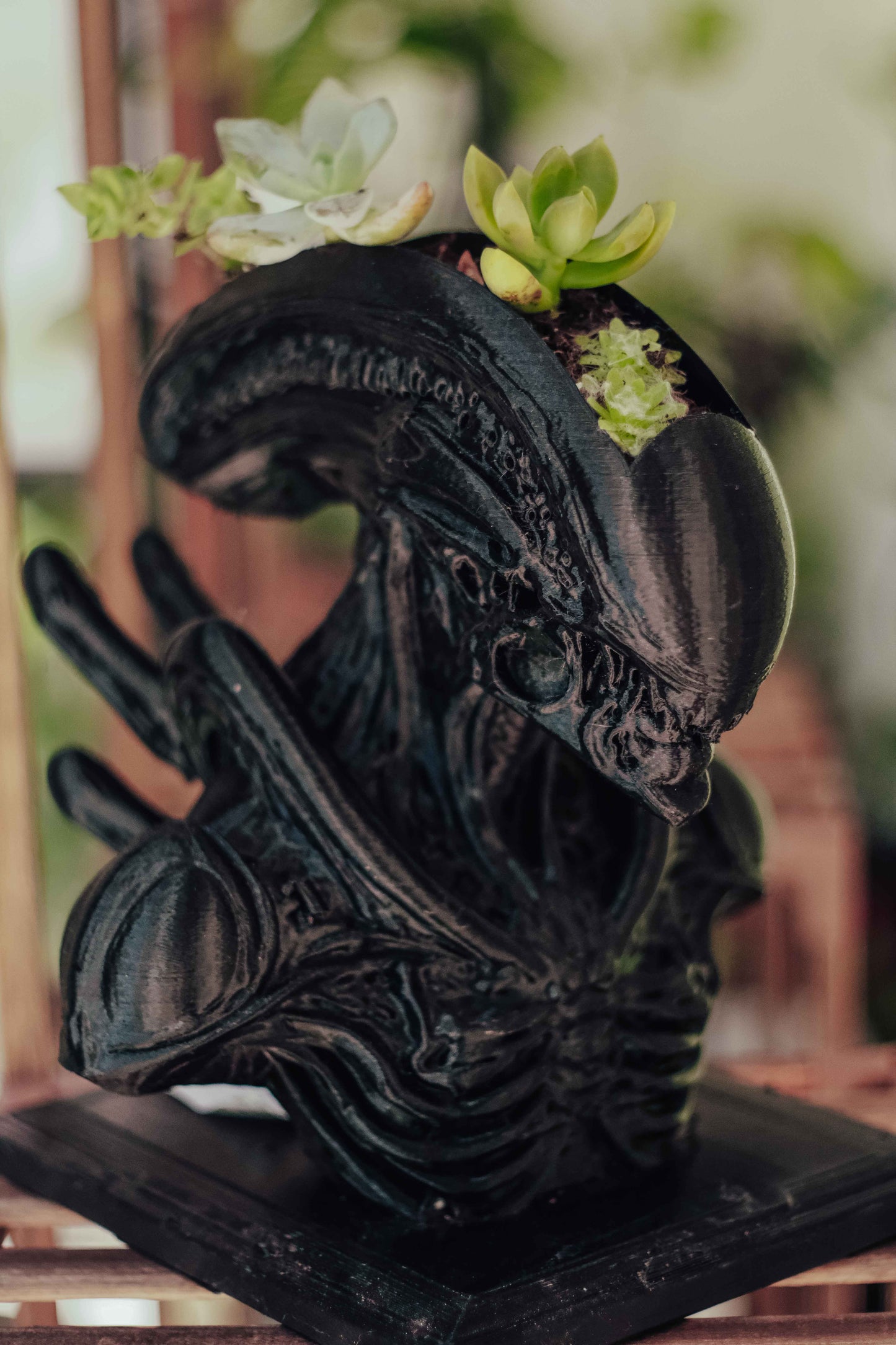 XenoBloom Planter – Alien-Inspired Succulent Display