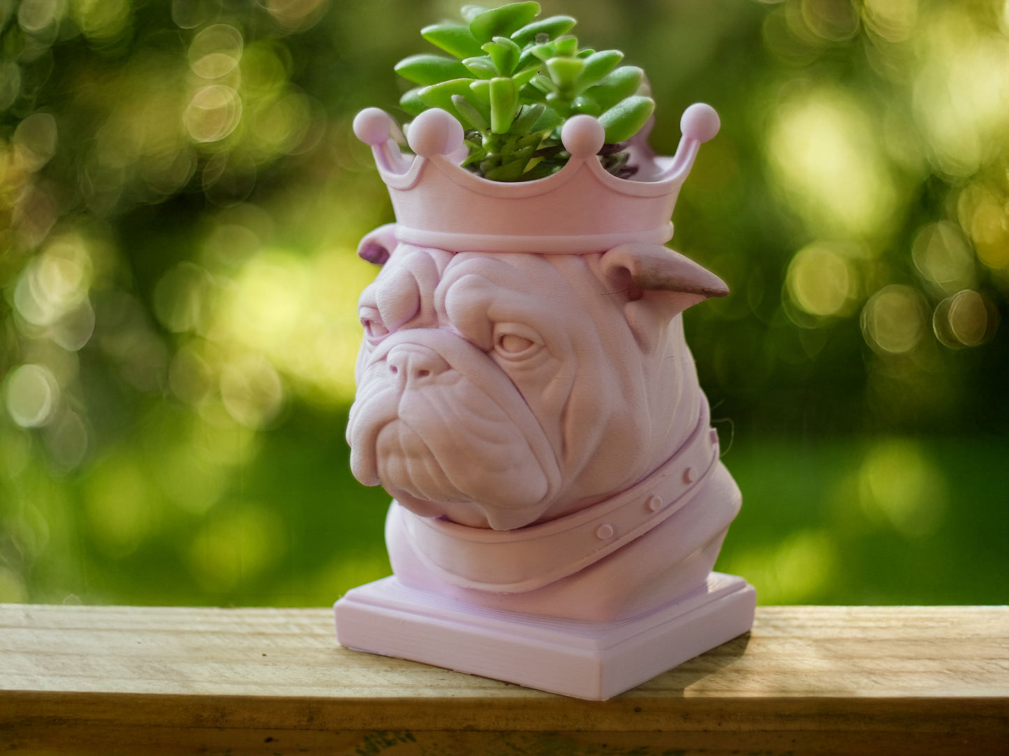 Bulldog Planter with Crown β For the Plant Royalty in Your Life!