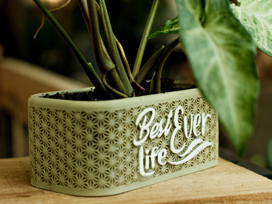 Best Life Ever 3D Printed Planter – Pioneer School Gift & Plant Lover Decor