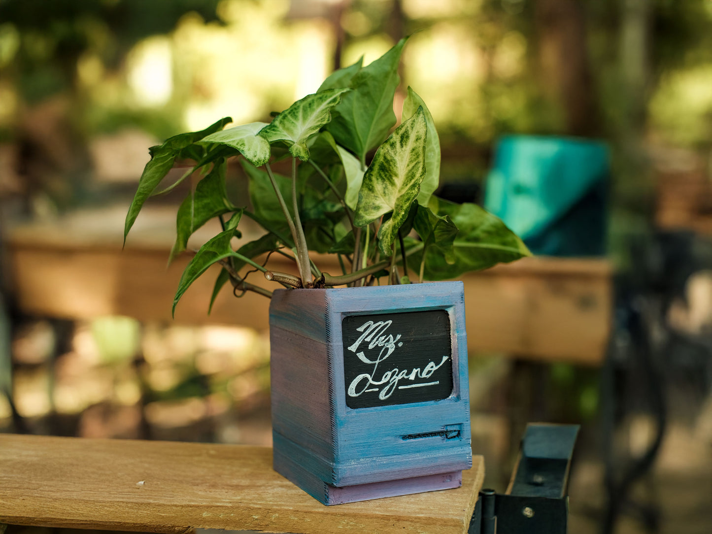 Retro Computer Planter – Mini Mac-Inspired Pot for Succulents & Desks