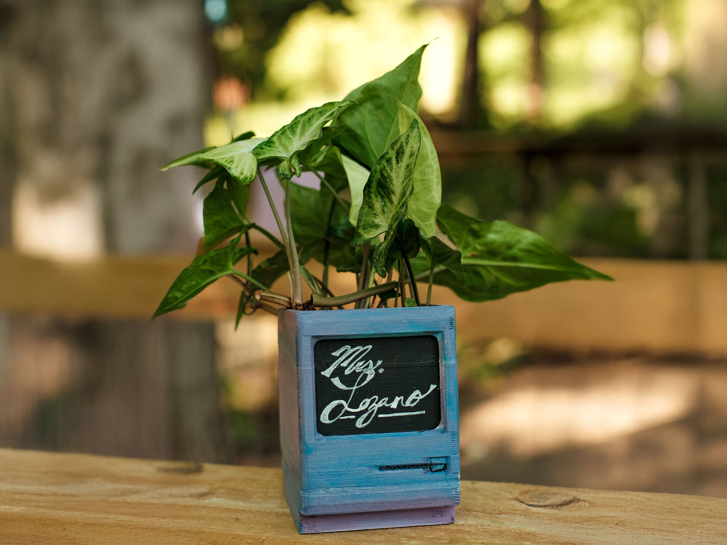 Retro Computer Planter – Mini Mac-Inspired Pot for Succulents & Desks