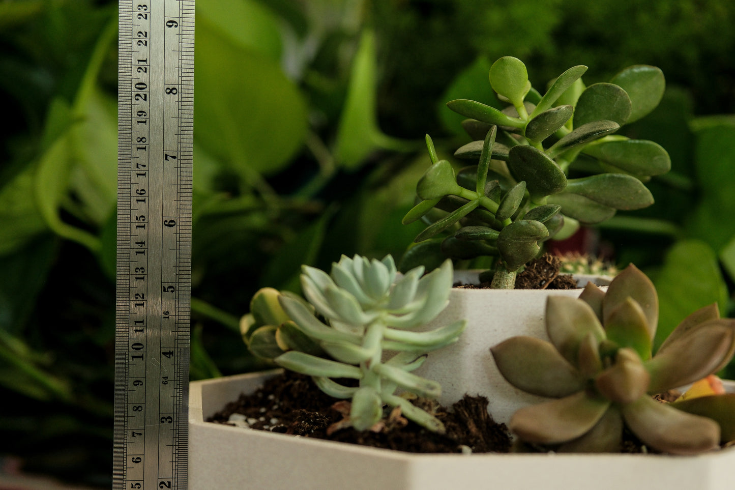 Hexagon Tiered Planter – Modern Geometric Pot for Succulents & Desk Decor