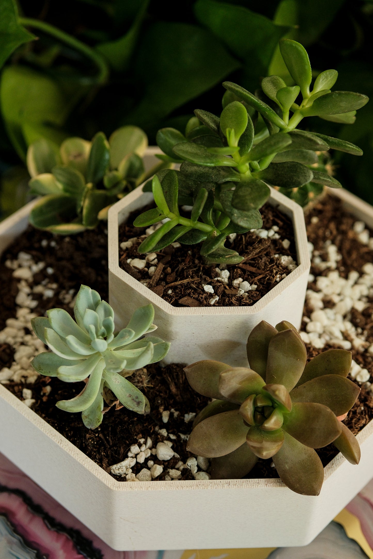 Hexagon Tiered Planter – Modern Geometric Pot for Succulents & Desk Decor
