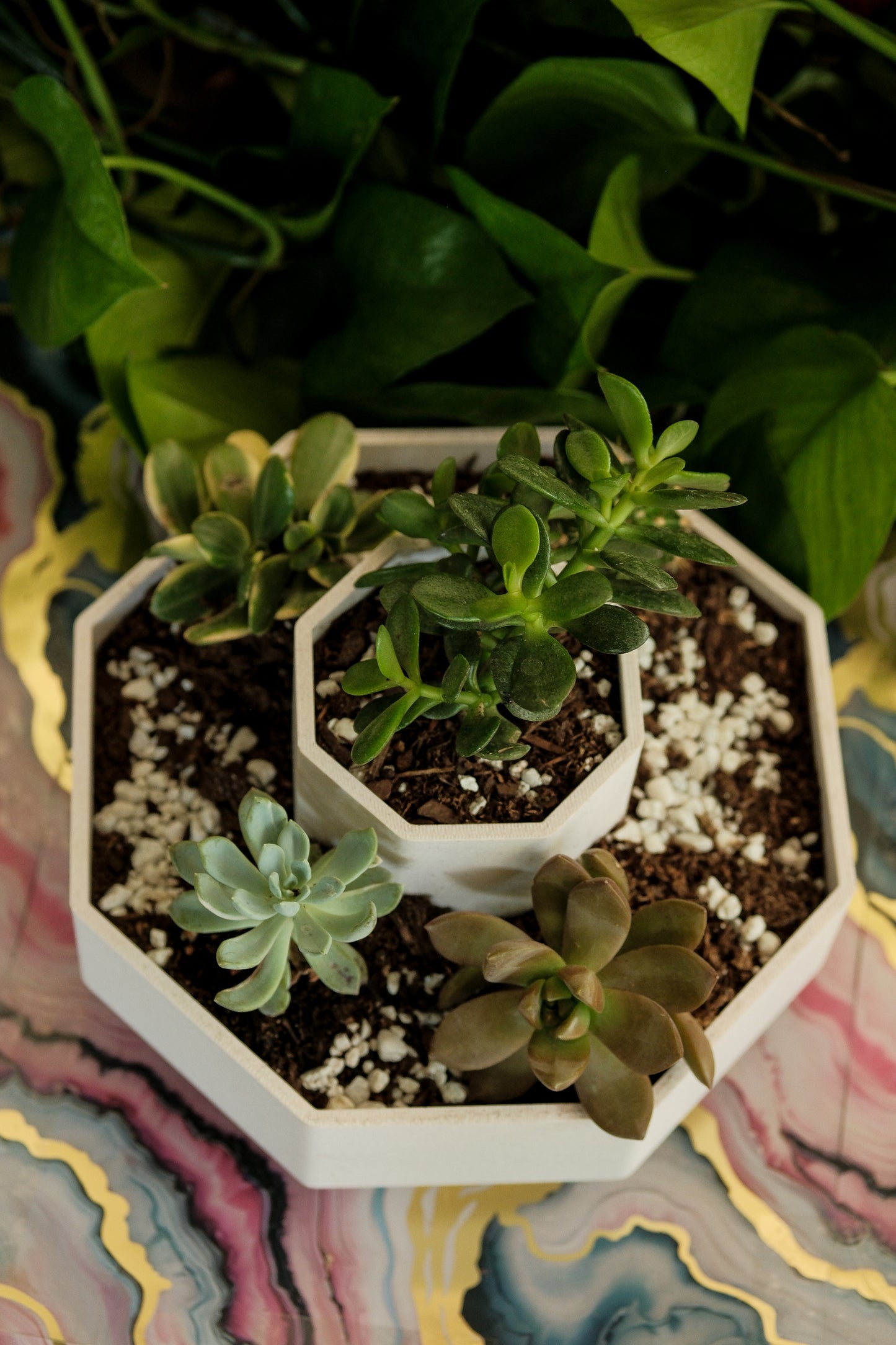 Hexagon Tiered Planter – Modern Geometric Pot for Succulents & Desk Decor