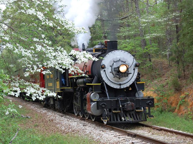 All Aboard: The Texas State Railroad and the Magic That Comes to Palestine