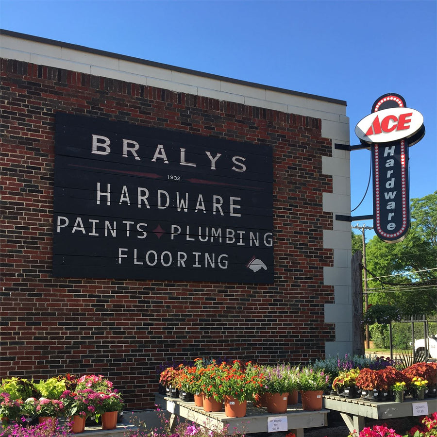 Bralys