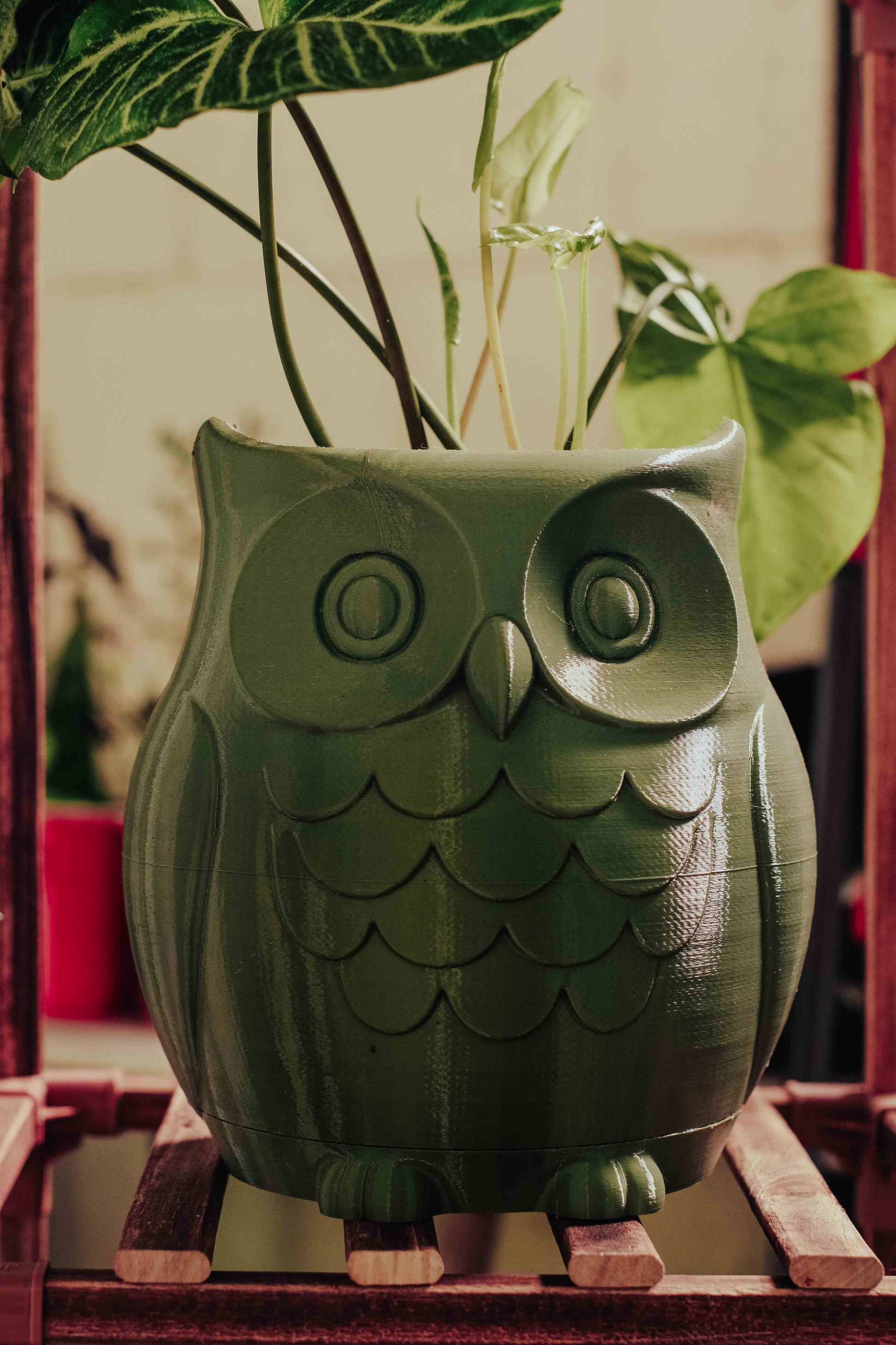 succulent owl planter Large Owl Planter – Wise, Whimsical & Ready to Plant! – Simpler Days