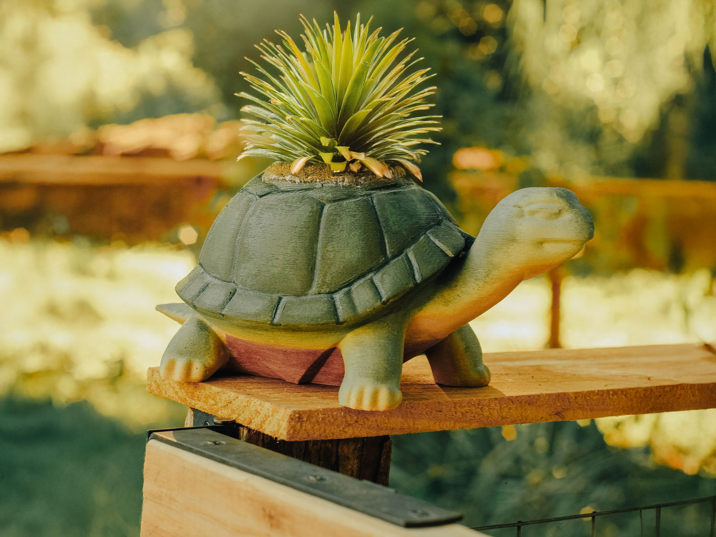 Hand-Painted Turtle Planter – Slow and Steady Style for Your Shelf!