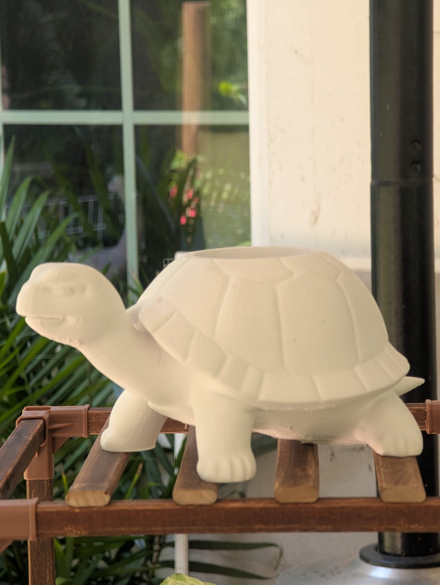 Hand-Painted Turtle Planter – Slow and Steady Style for Your Shelf!