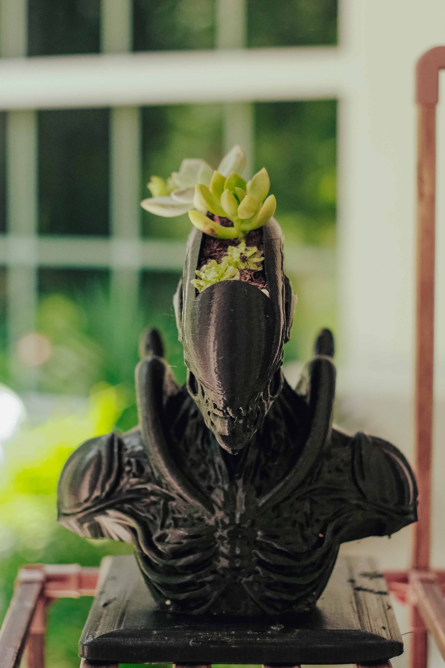 XenoBloom Planter – Alien-Inspired Succulent Display