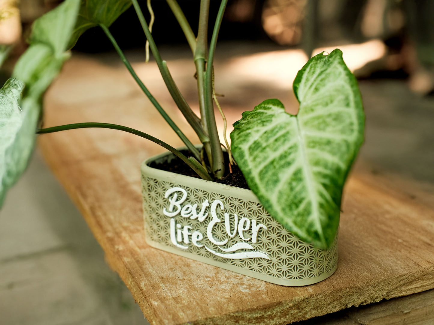 Best Life Ever 3D Printed Planter – Pioneer School Gift & Plant Lover Decor