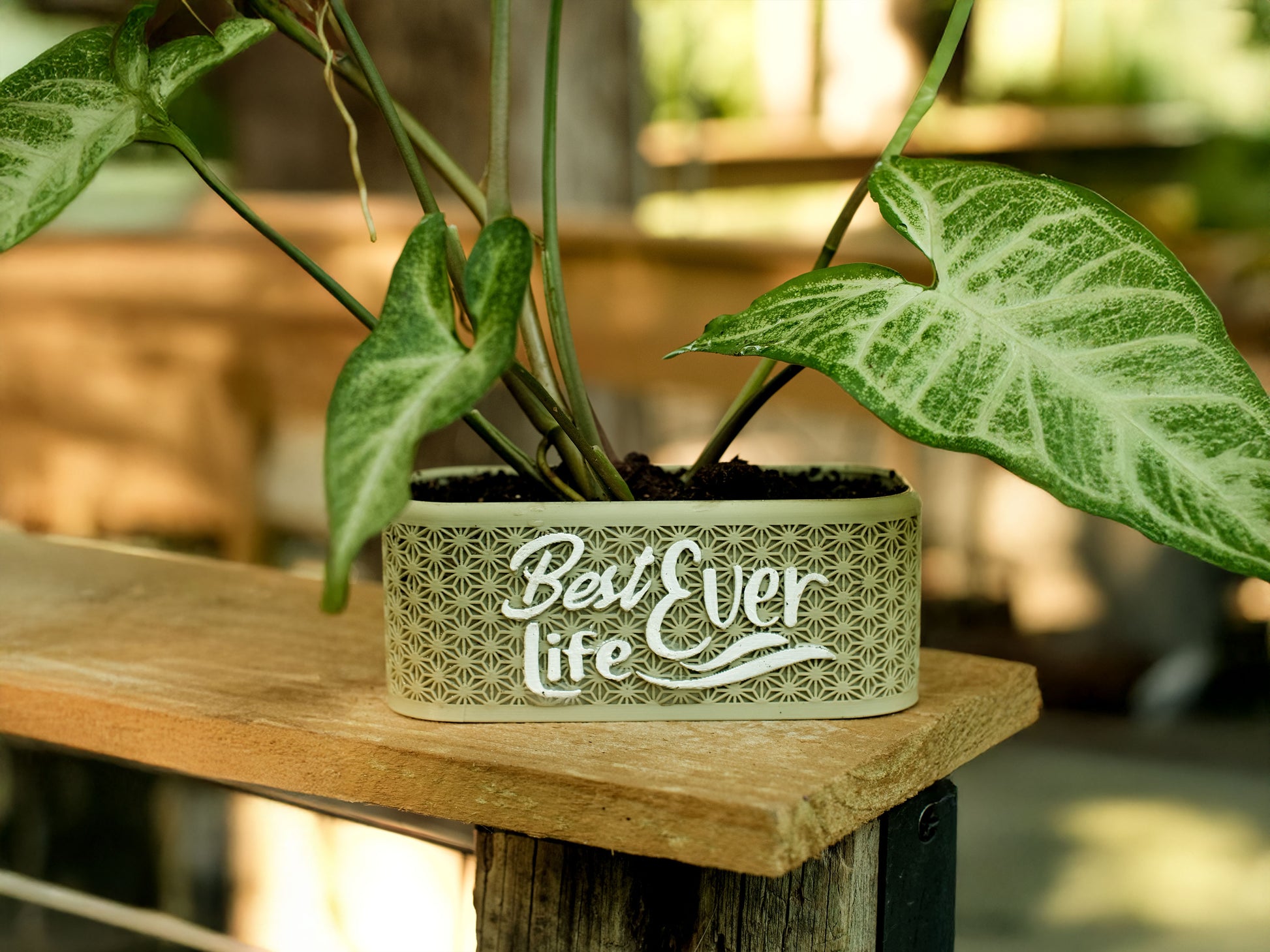 3d printed succulent plant Best Life Ever 3D Printed Planter – Pioneer School Gift & Plant Lover – Simpler Days