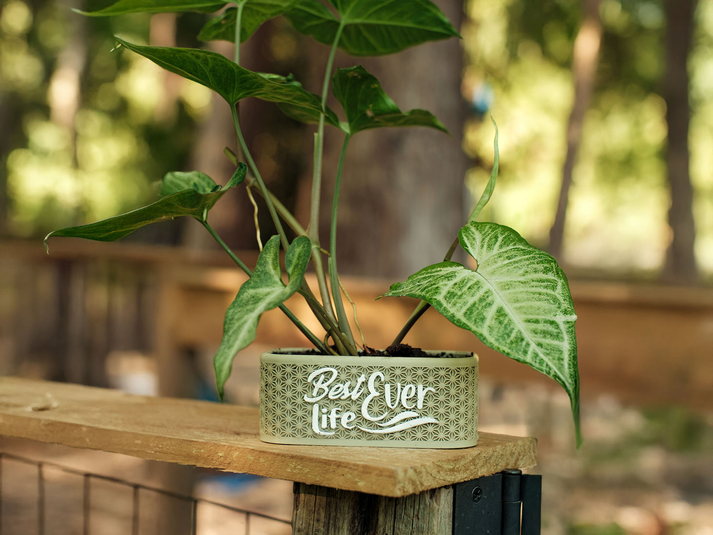 Best Life Ever 3D Printed Planter – Pioneer School Gift & Plant Lover Decor