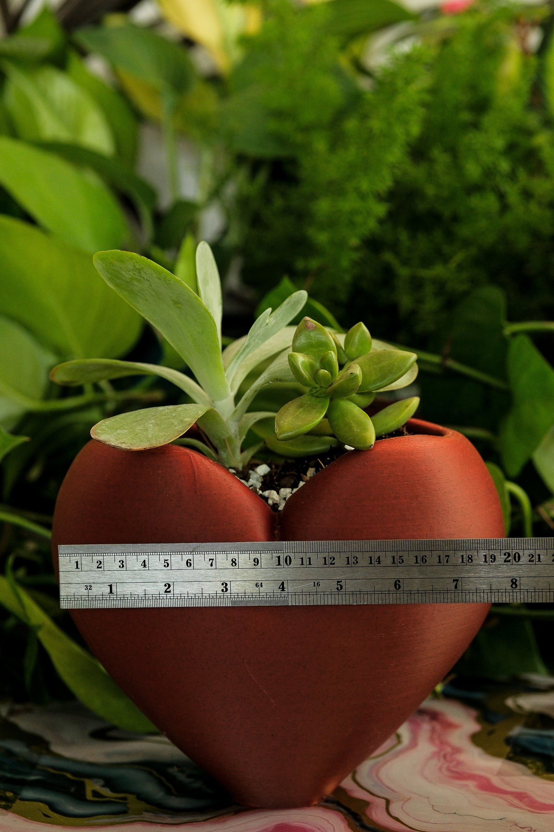 heart pot plant Heart Planter – 3D Printed Anatomical-Inspired Pot for Succulents & He – Simpler Days