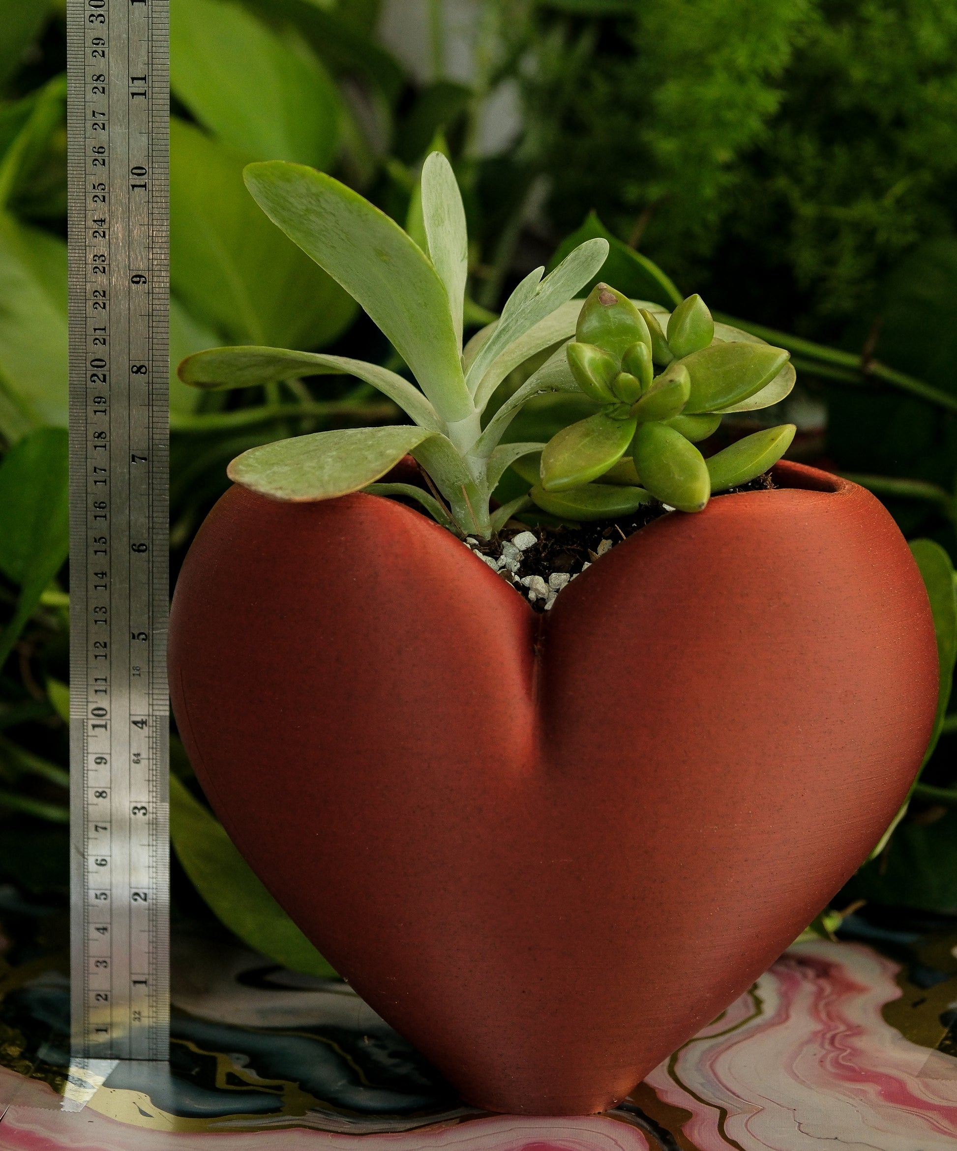 succulents in heart shaped planter Heart Planter – 3D Printed Anatomical-Inspired Pot for Succulents & He – Simpler Days