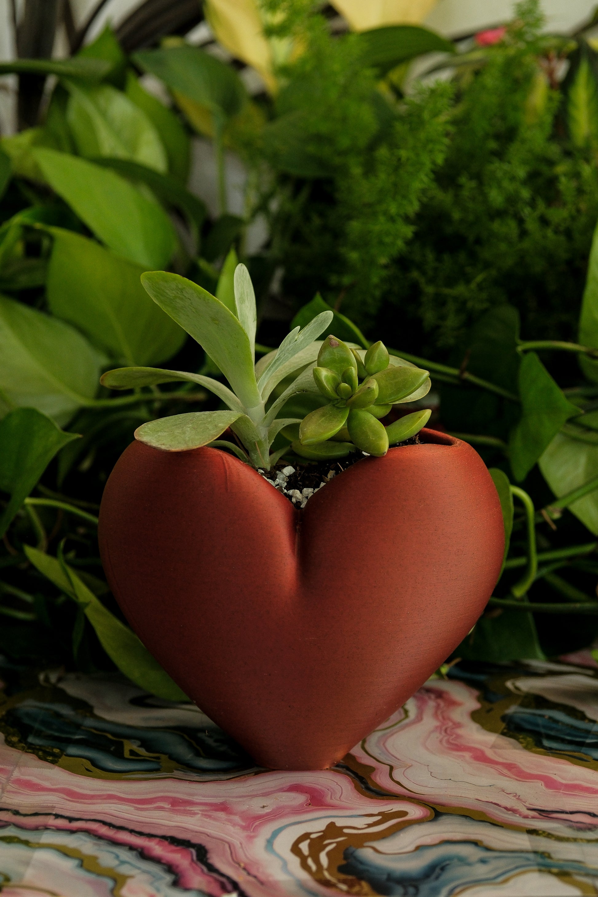 heart shaped plant pot Heart Planter – 3D Printed Anatomical-Inspired Pot for Succulents & He