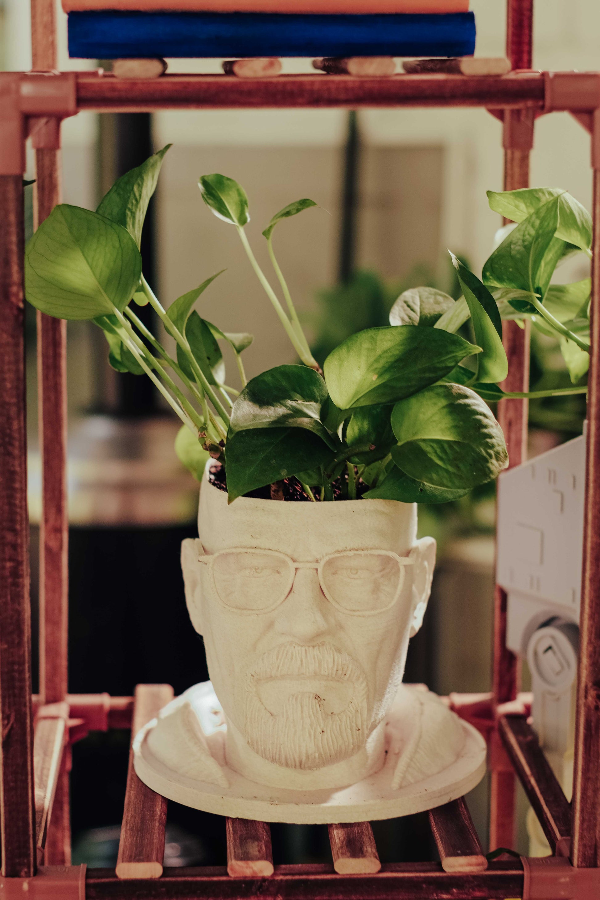 breaking bad plant pot “Say Aloe to My Little Friend” – Walter White Breaking Bad Planter