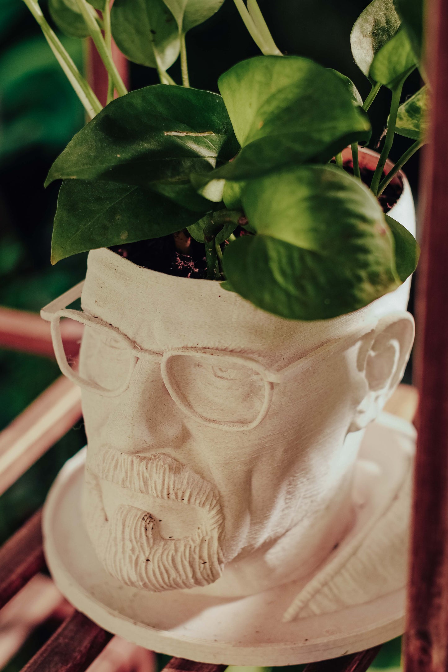 “Say Aloe to My Little Friend” – Walter White Breaking Bad Planter