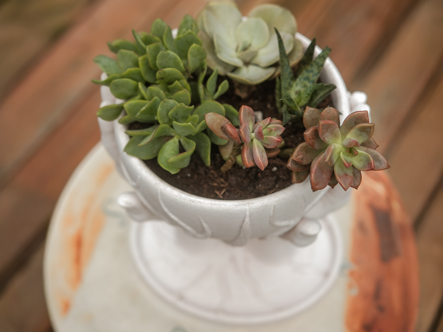Deeply Rooted Planter – 3D Printed Symbolic Pot with Drainage | Meaningful Gift Unique Planter- Hands holding Bowl