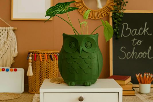 Large Owl Planter – Wise, Whimsical & Ready to Plant!