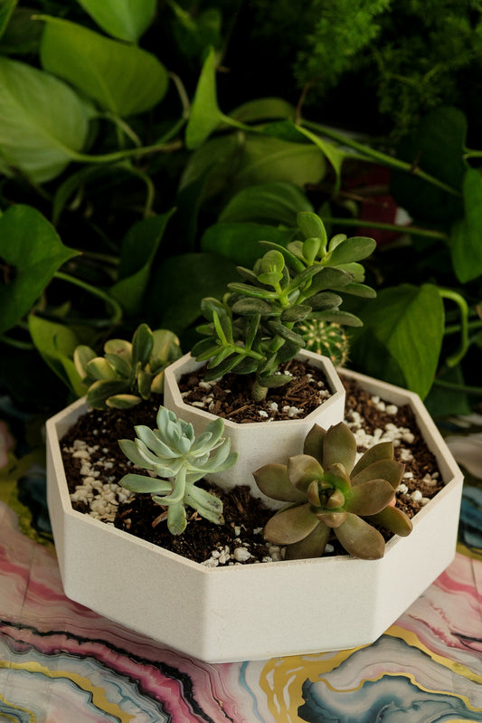 Hexagon Tiered Planter – Modern Geometric Pot for Succulents & Desk Decor